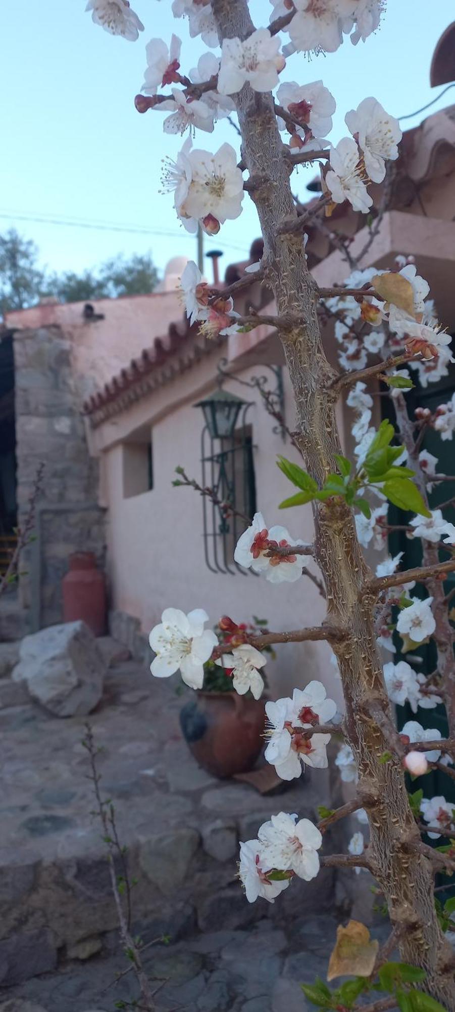 Los Arcabuceros Casa Hotel Boutique Tilcara Exteriér fotografie
