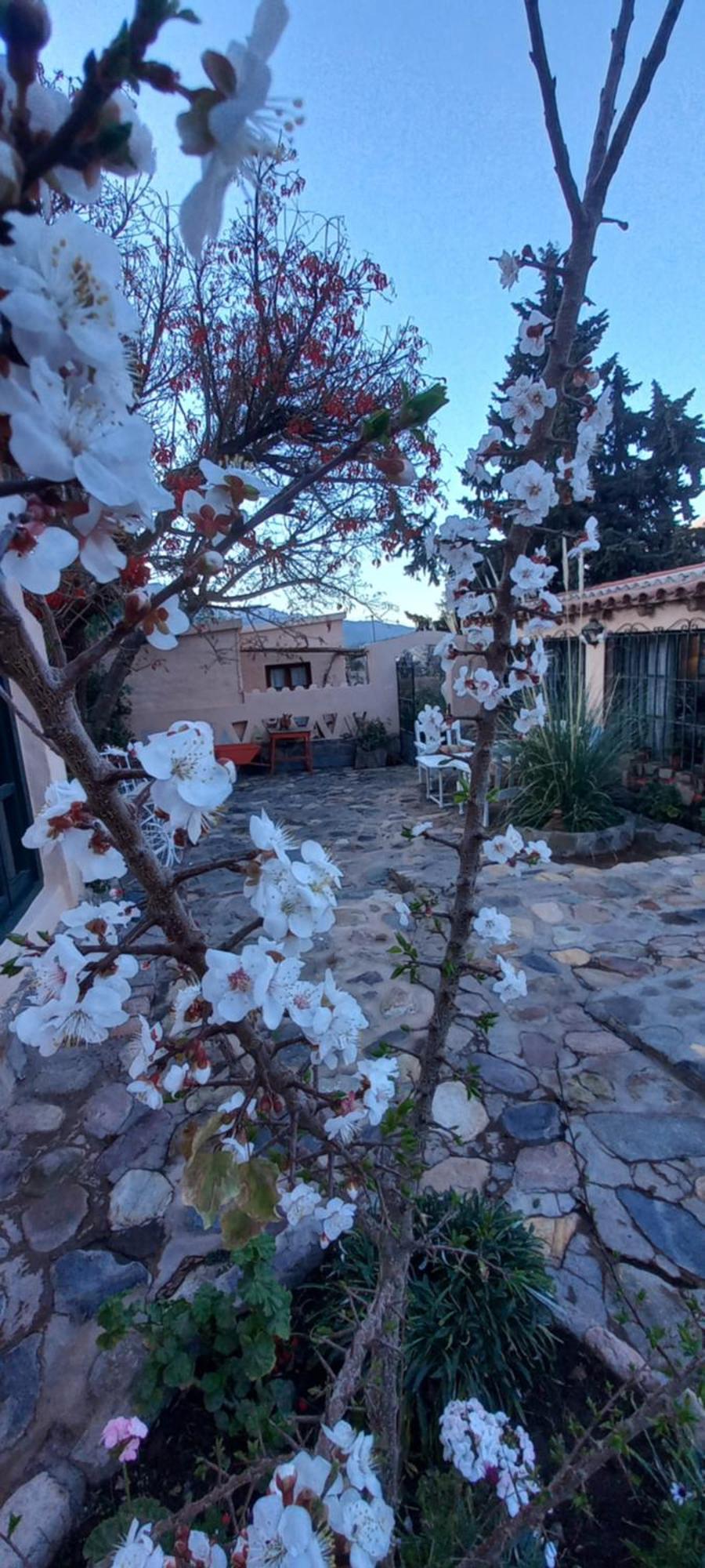 Los Arcabuceros Casa Hotel Boutique Tilcara Exteriér fotografie